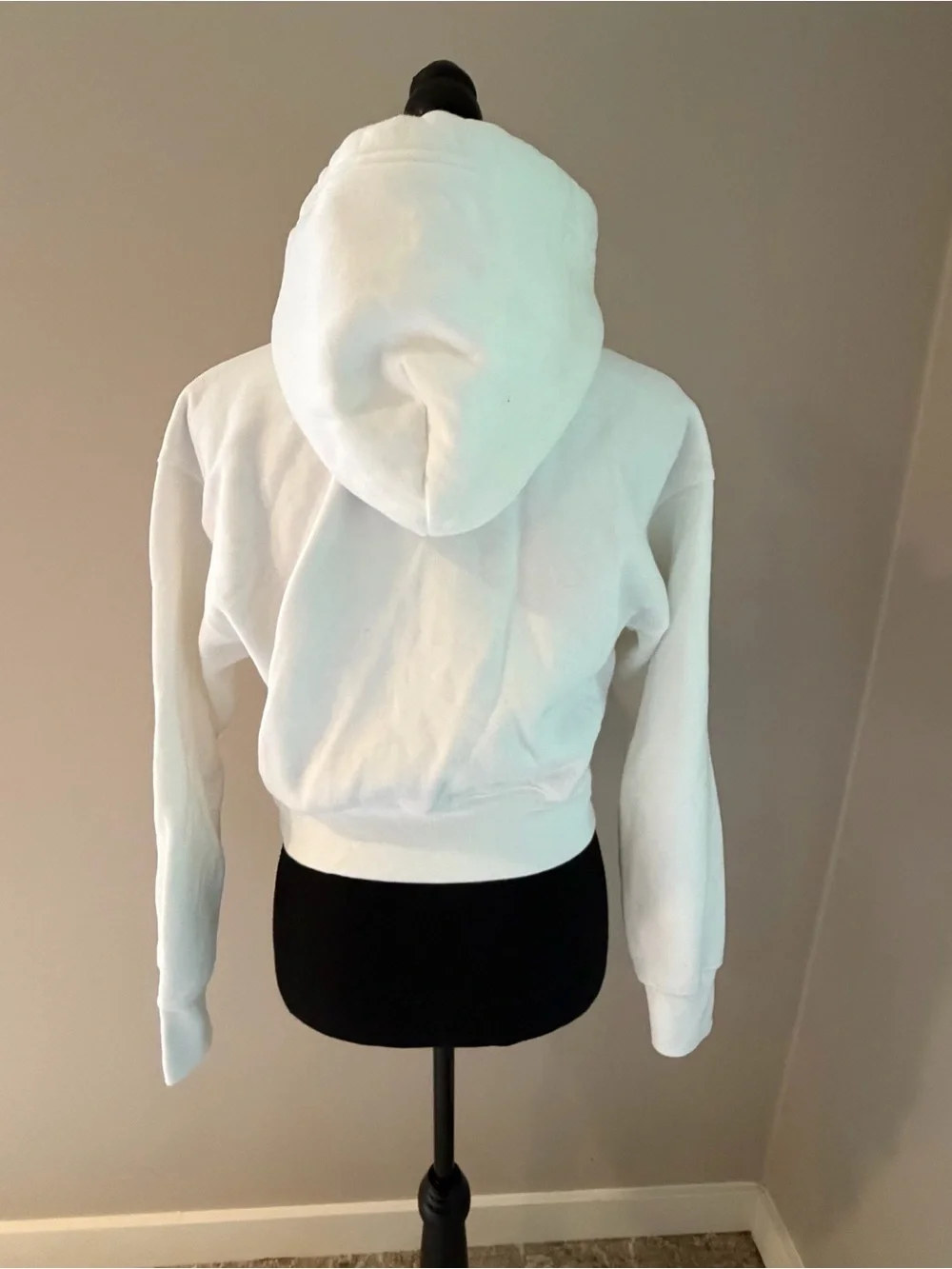 Aritzia Boyfried Hoodie White 2XS
